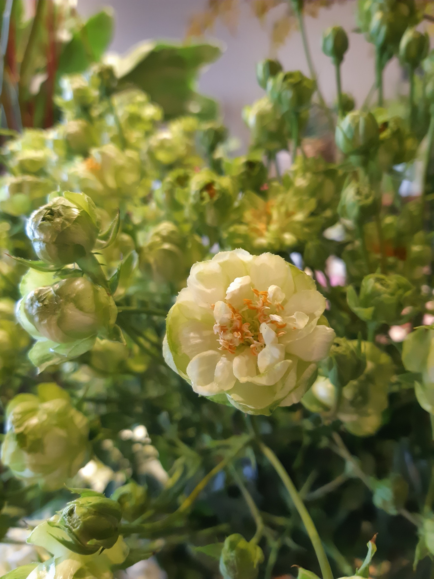 旭区の花屋といえば千林大宮の結いはなで