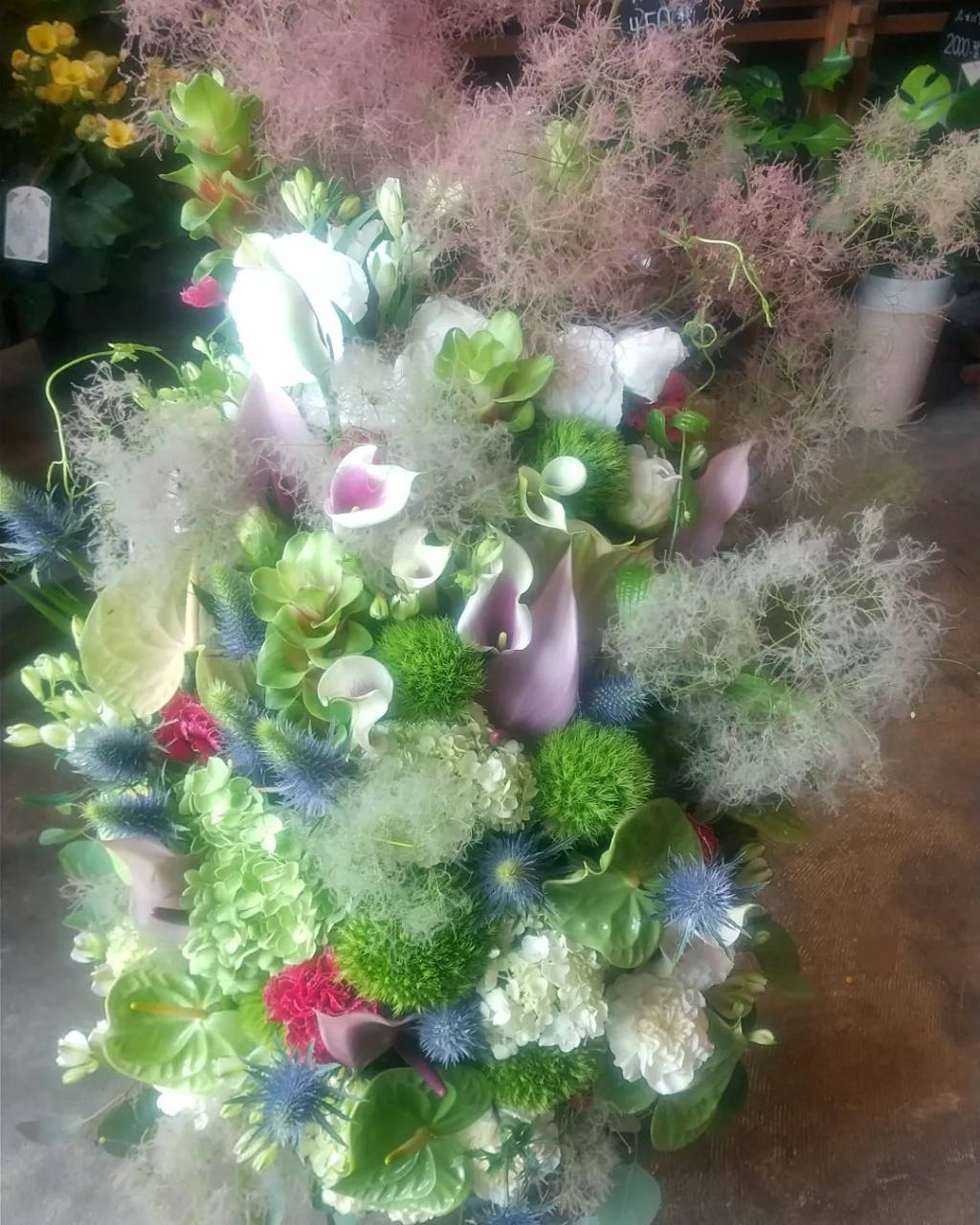 美容室の開店御祝