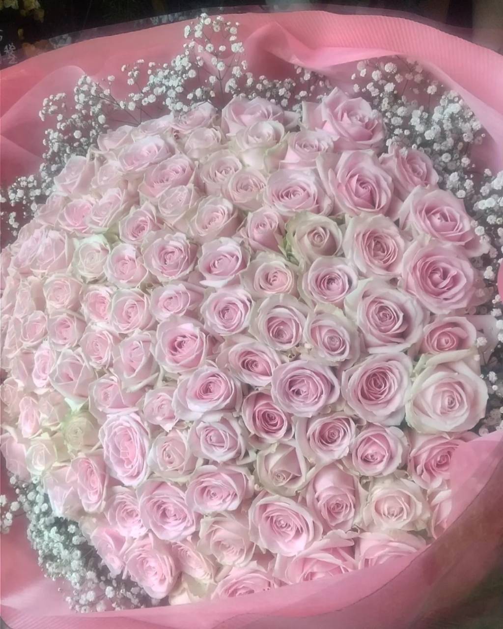 プロポーズの花束（ピンクバラ108本⁺かすみ草）